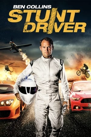 Ben Collins Stunt Driver (2015) Hindi Dual Audio 480p BluRay 260MB