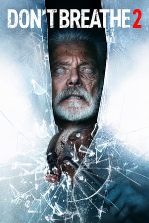 Don’t Breathe 2 (2021) Hindi Dual Audio 480p HDRip 400MB