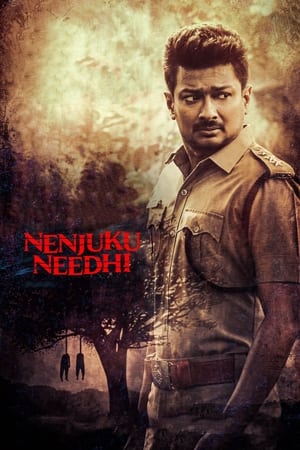 Nenjuku Needhi 2022 Hindi (HQ-Dub) HDRip 720p – 480p