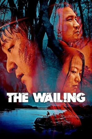 The Wailing 2016 Hindi Dual Audio 480p Web-DL 450MB